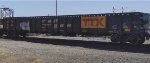 GNTX 295863